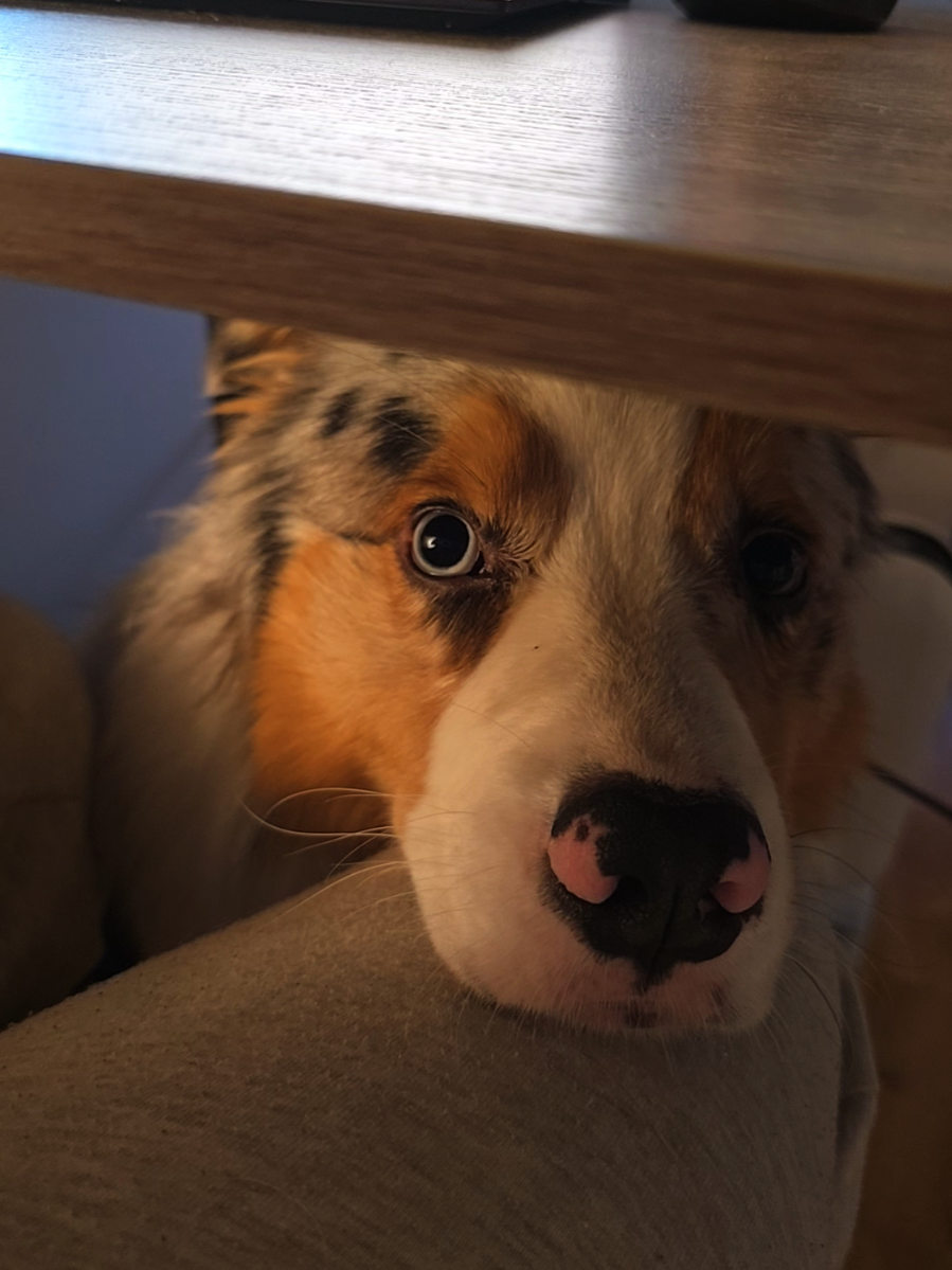 @mr.montytheaussie