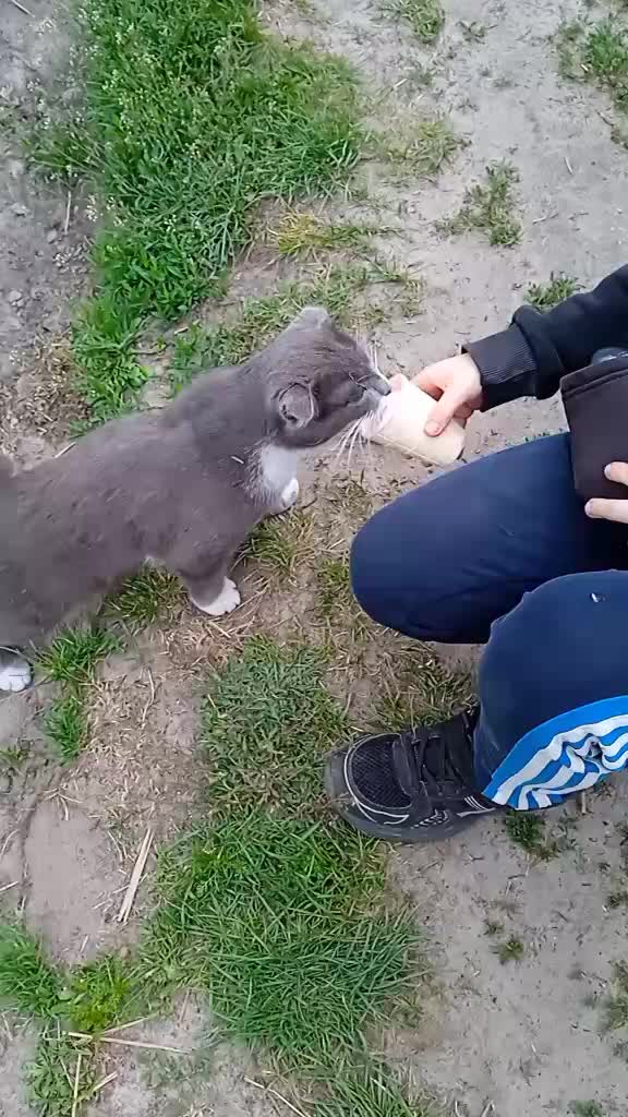 @Наталя Марковець