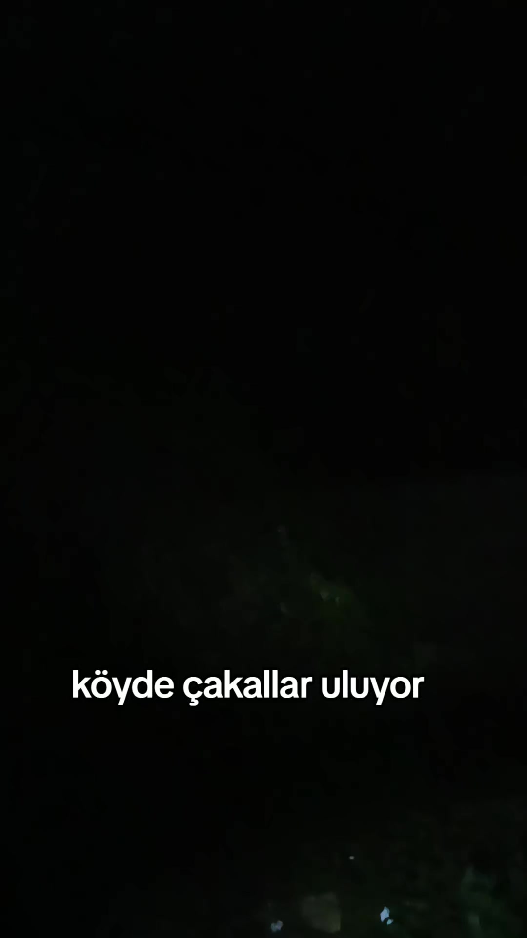 @💥👑MUSTAFA🇹🇷TAN🇹🇷KURU👑💥