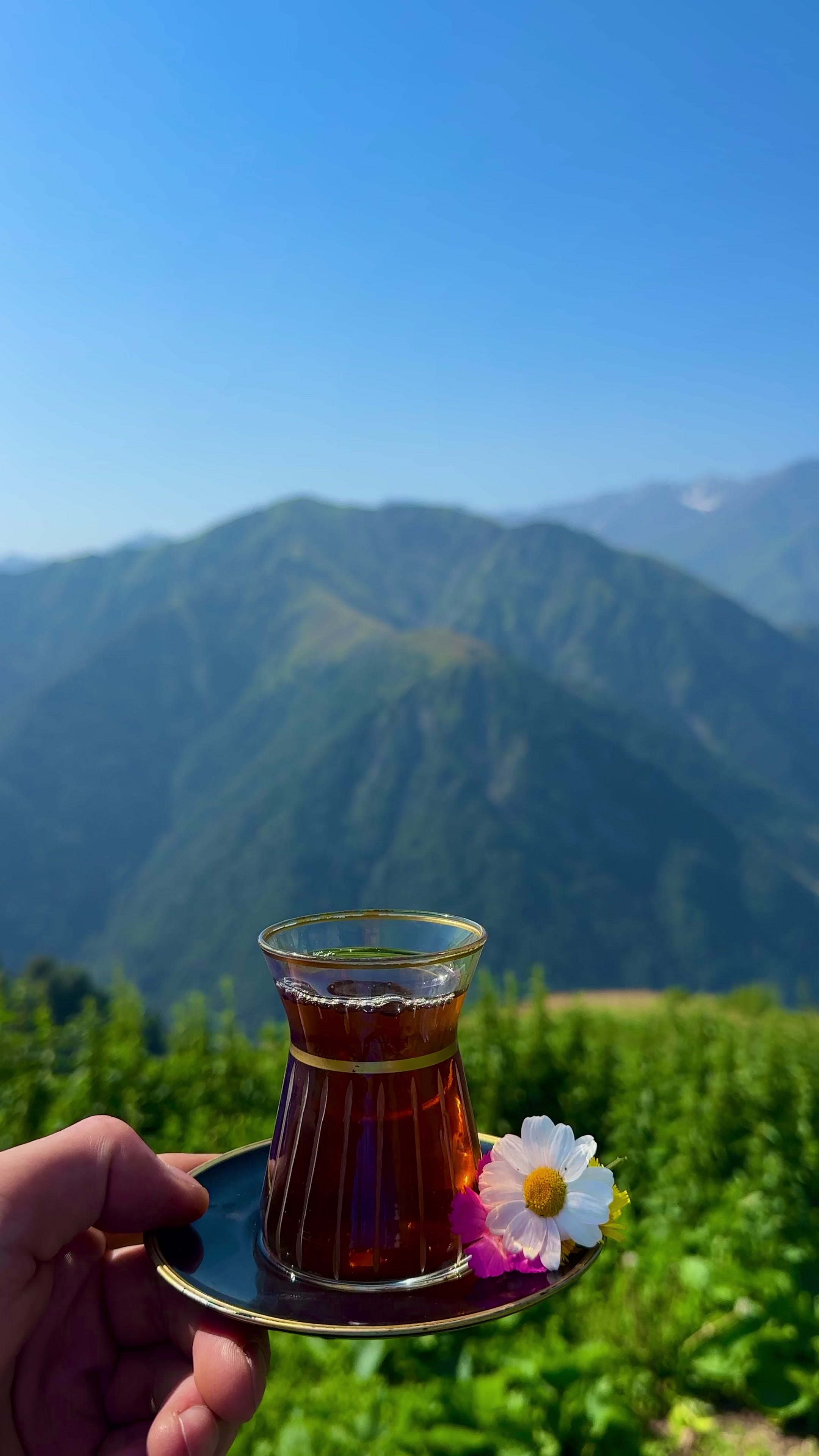 @𝑨𝒅𝒊𝒍𝒐𝒗🌿
