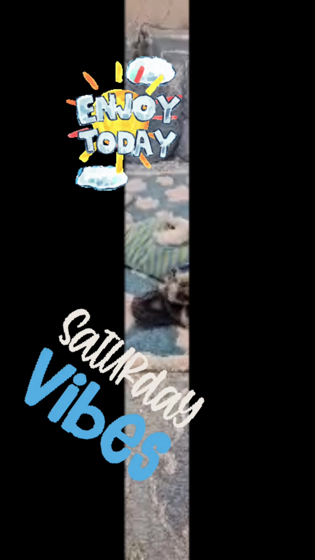 @finn2nyc
