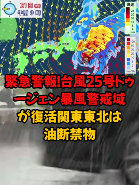 @mikamisan