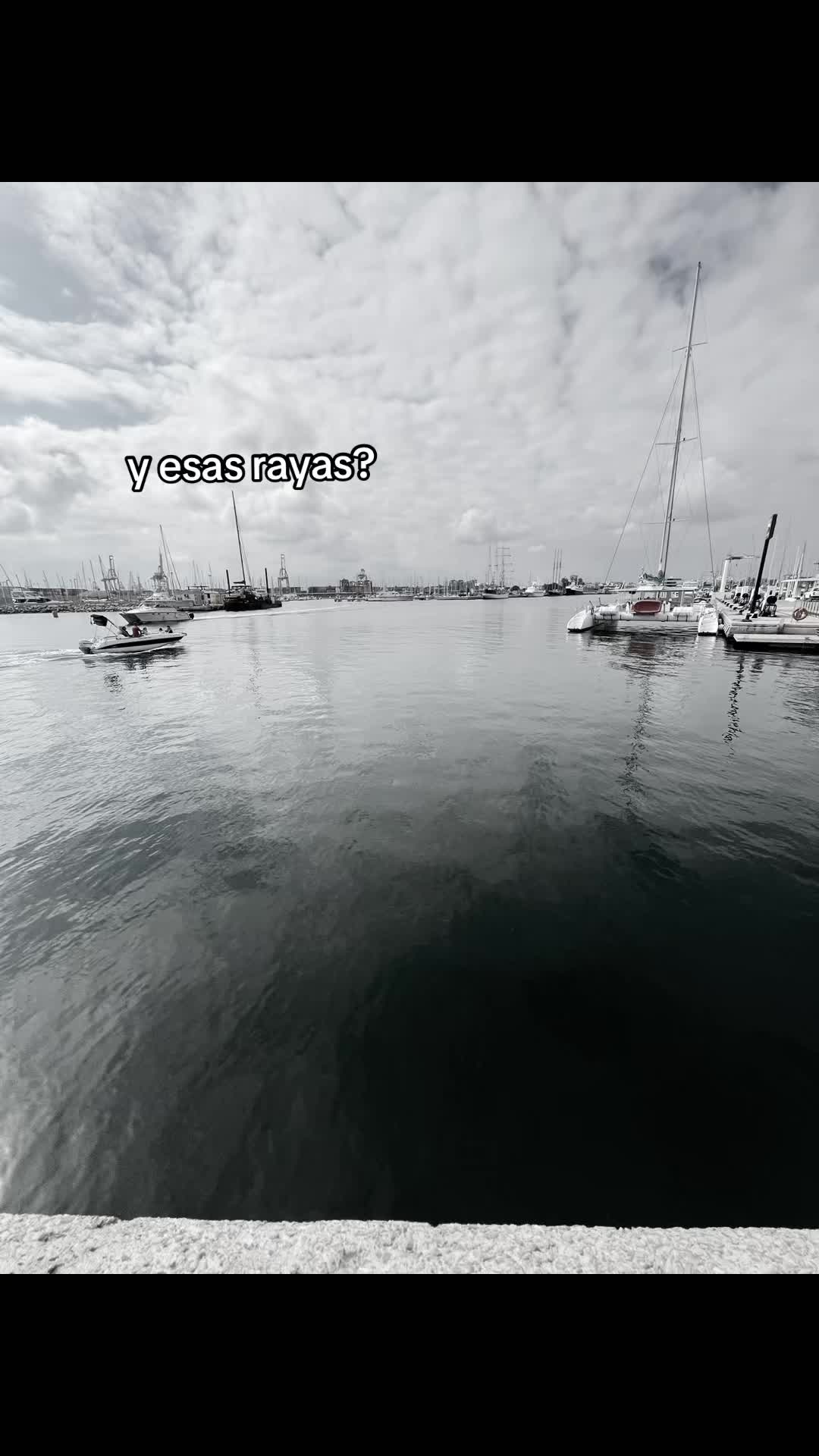 @⊹₊⋆ x̟x̟0̟2̟_A̟D̟A̟Y̟x̟x̟ ⋆₊⊹
