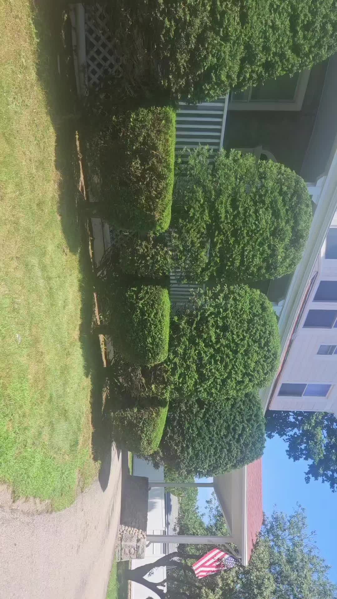 @mi &ntilde;a&ntilde;ito
