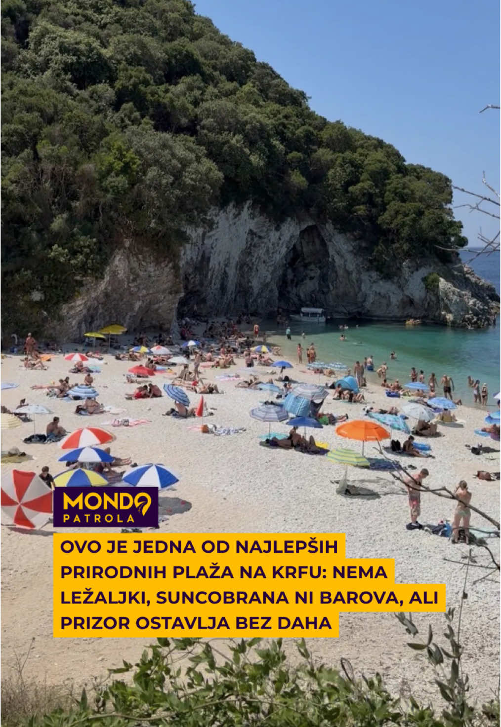 @Mondo Portal