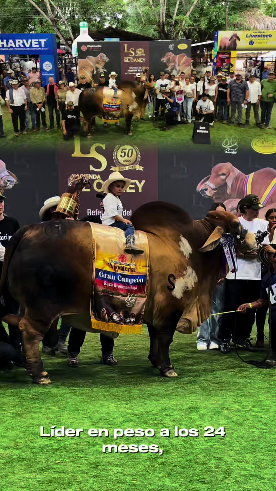 @San Juan de Bedouth