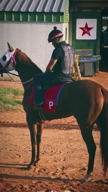 @morfeo 🐦⬛🏇🌾