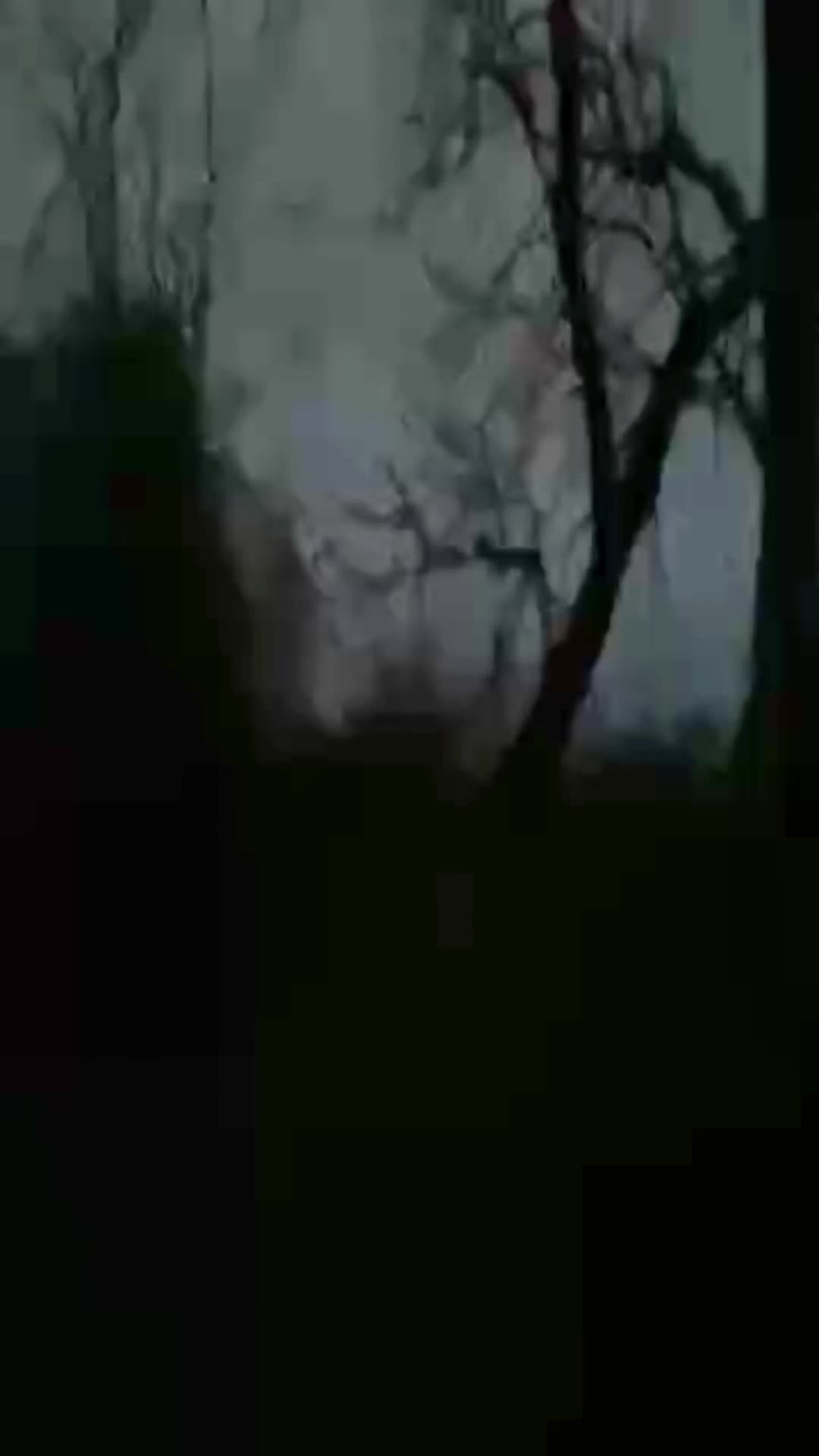 @ㅤㅤㅤㅤㅤㅤㅤ
