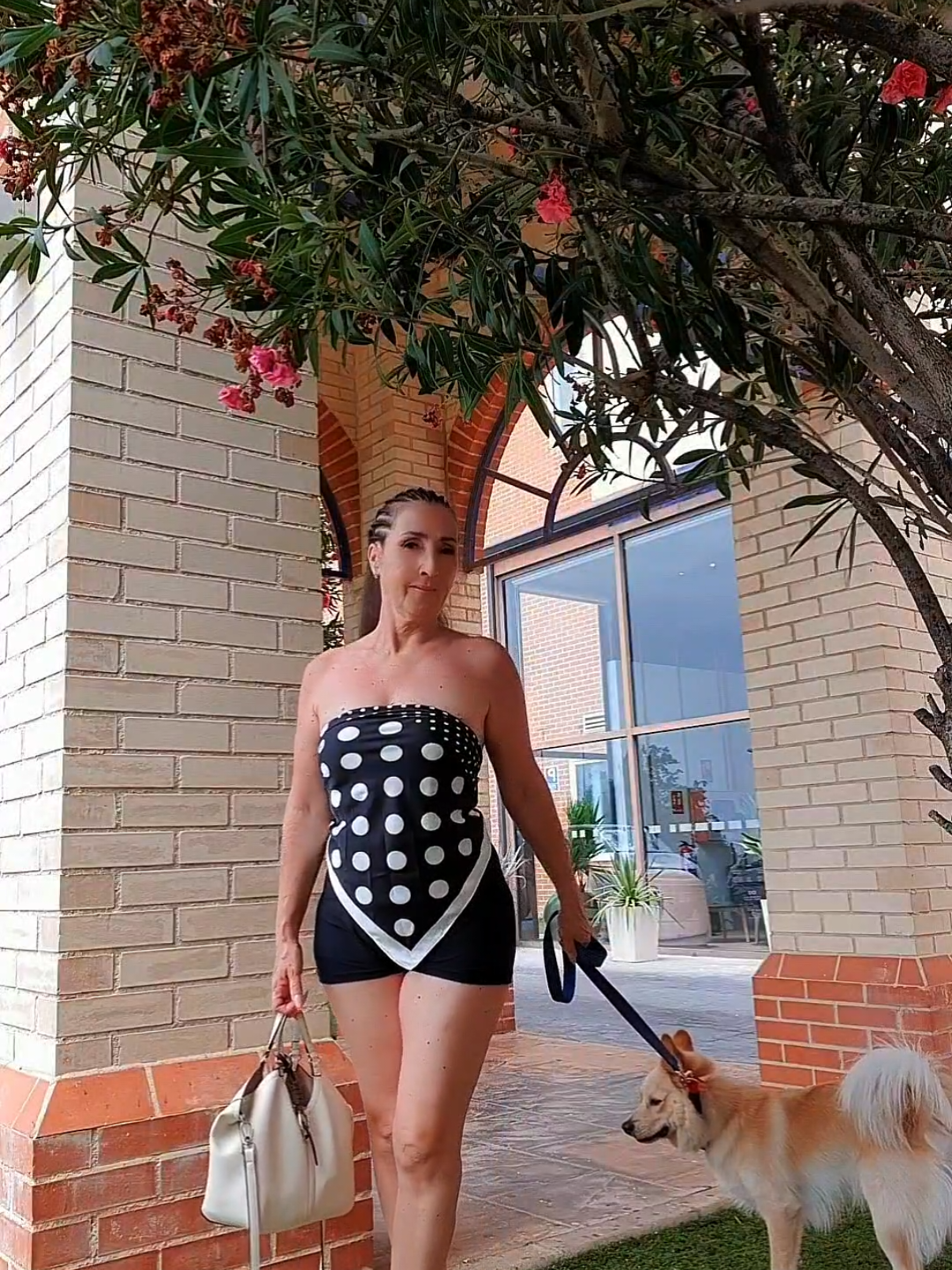 @bibi