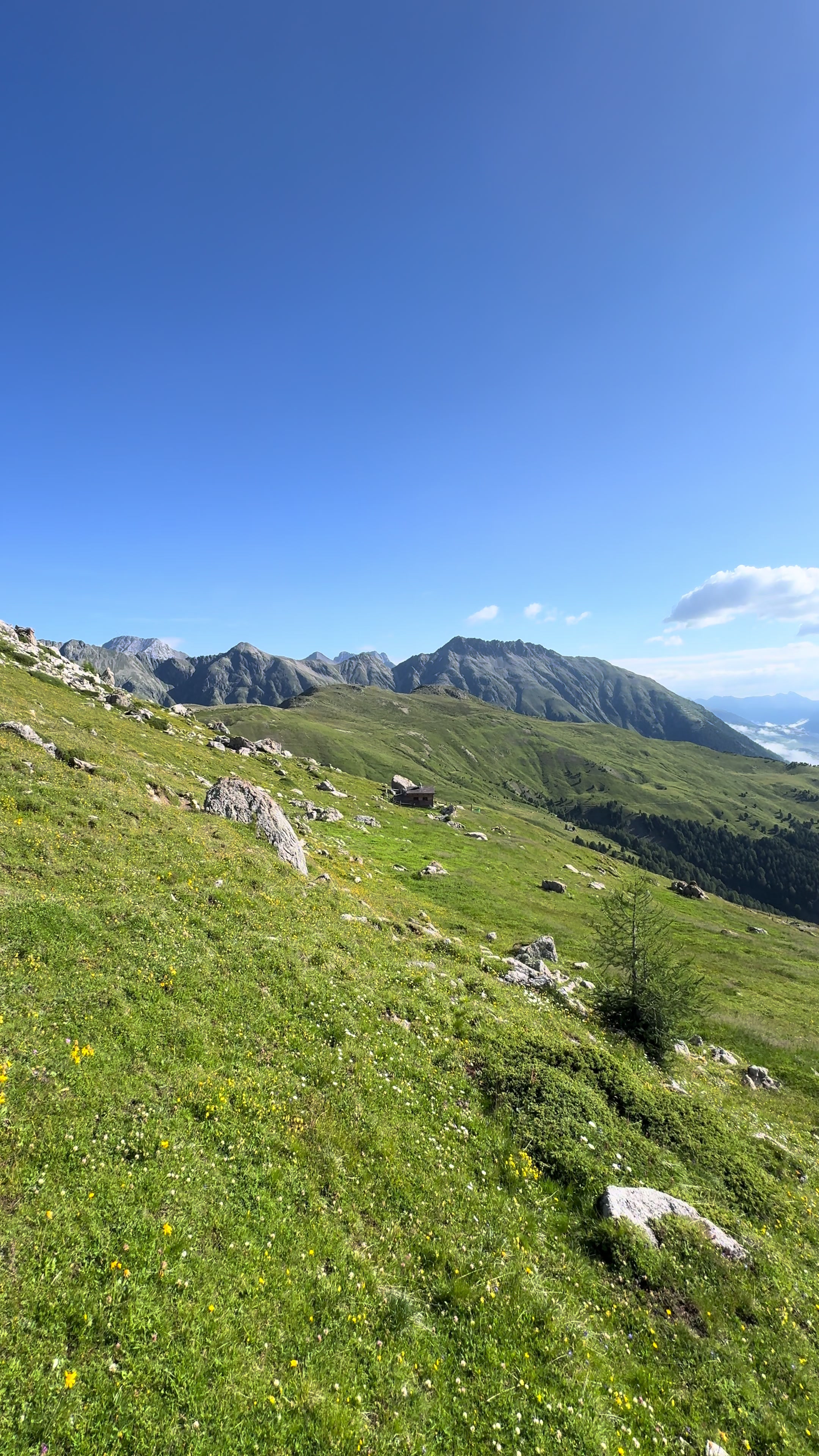 @Birobiro🚵&zwj;♂️