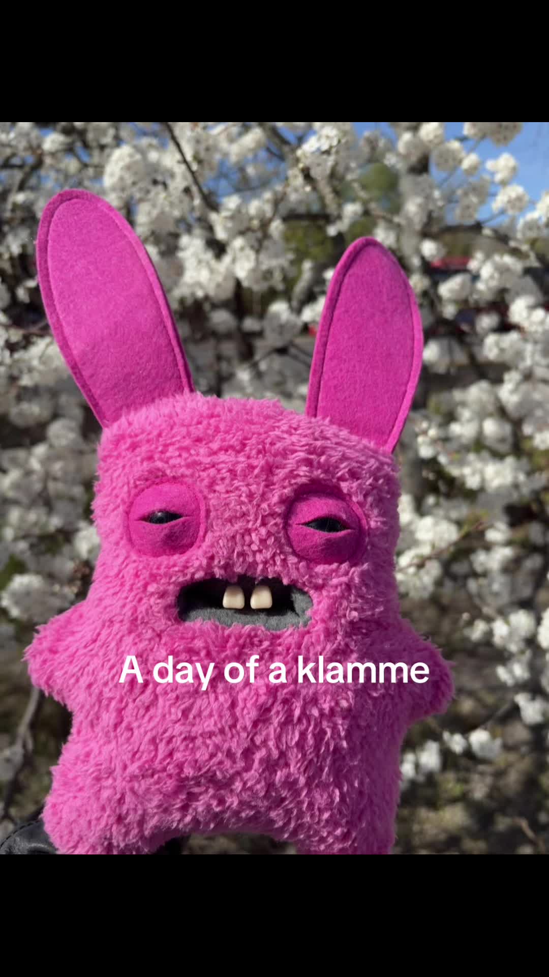 @Ammy