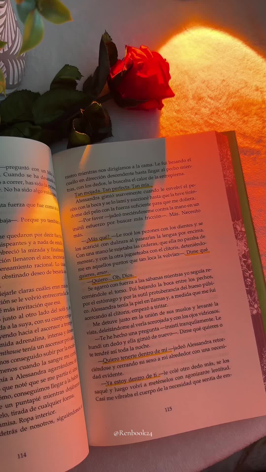 @Renbook