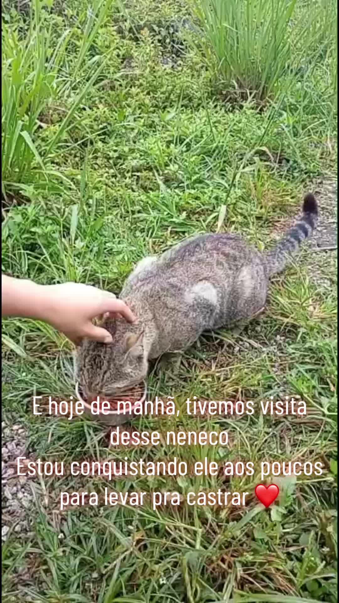 @Karoleos12gatos