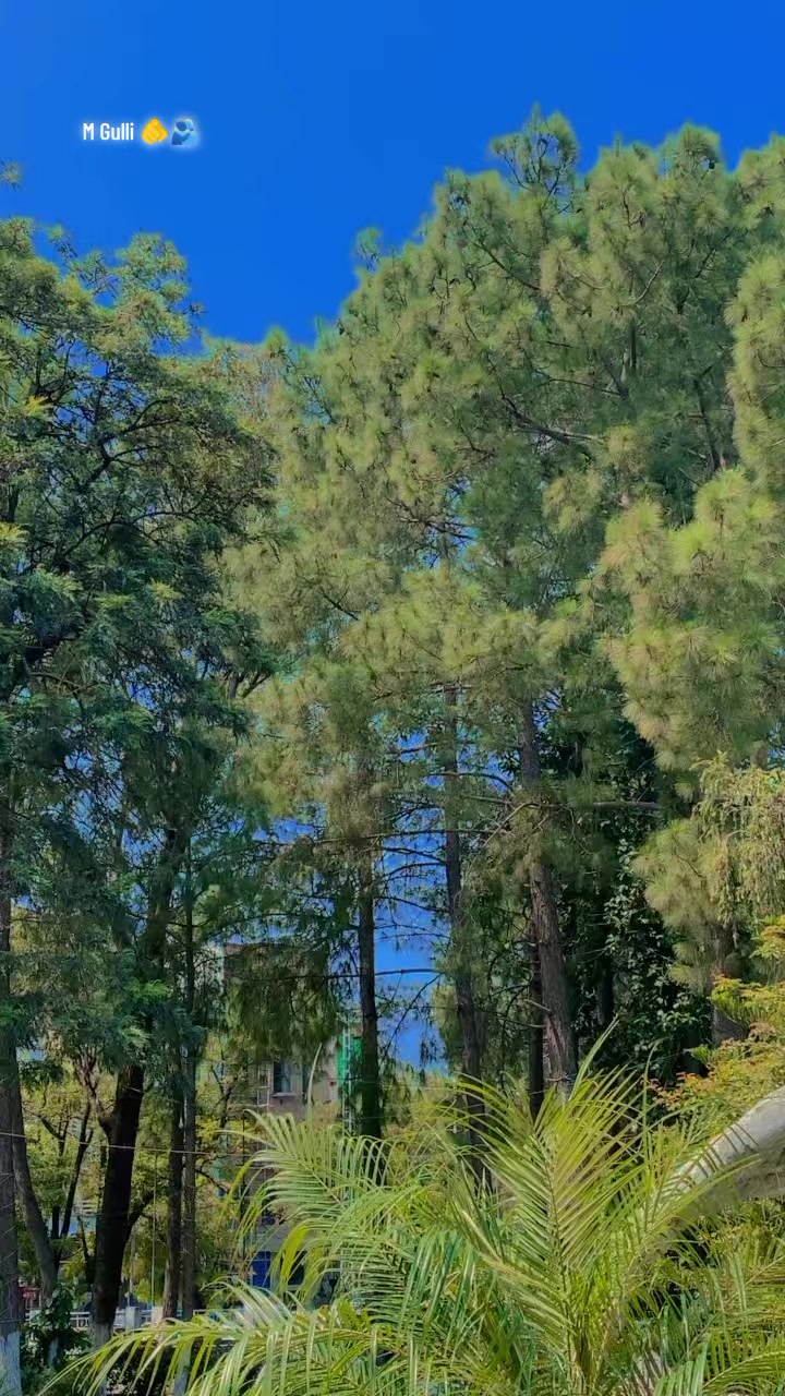 @꧁༒☬ وسم خِٹک ☬༒꧂
