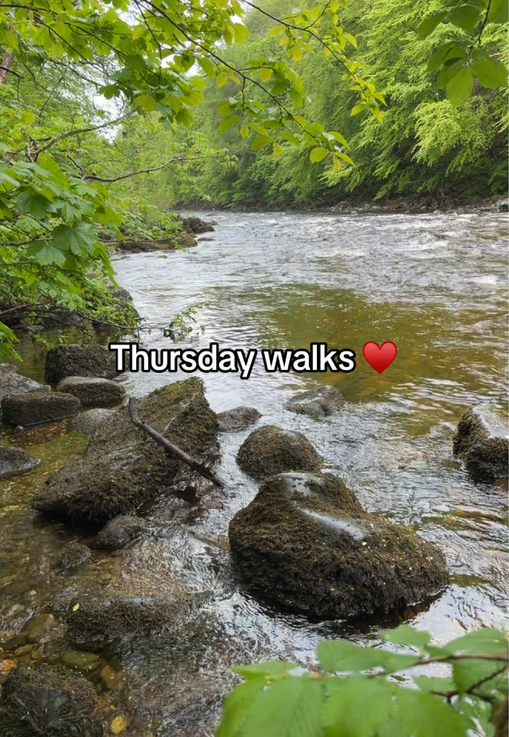 @𝕊𝕒𝕣𝕒𝕙 𝕃𝕠𝕦𝕚𝕤𝕖 🌻