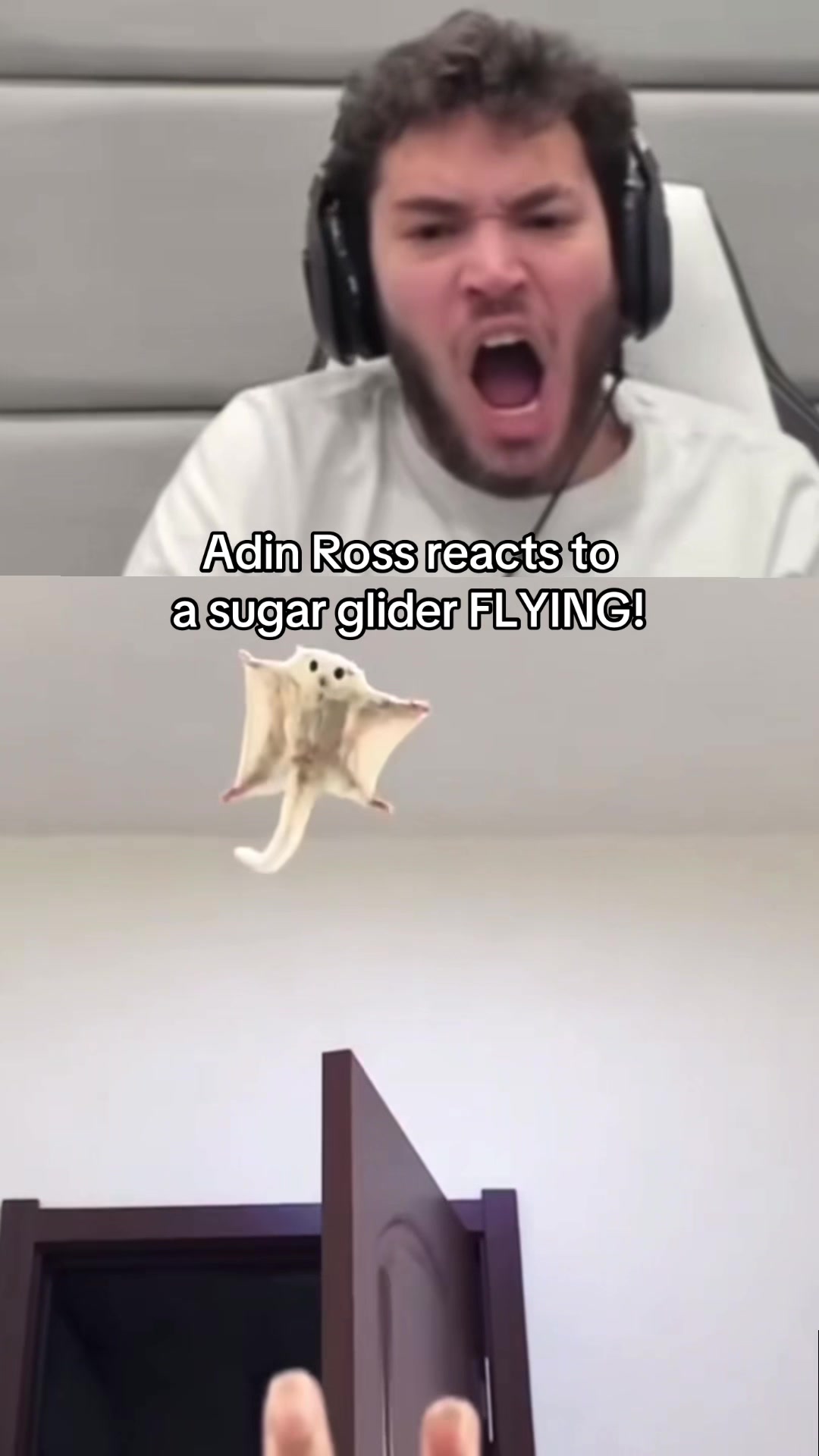 @Noorischcow