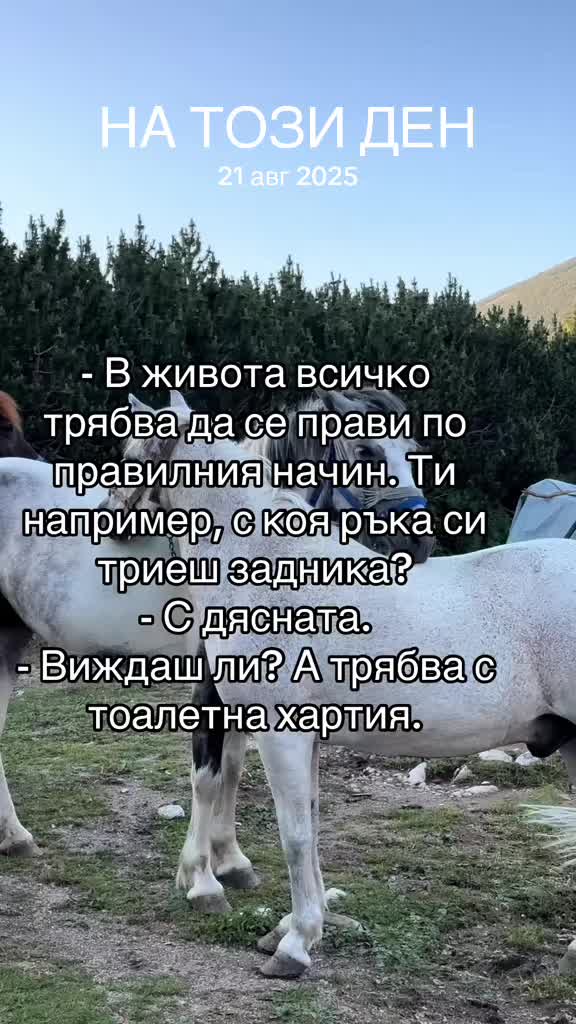 @Велизар