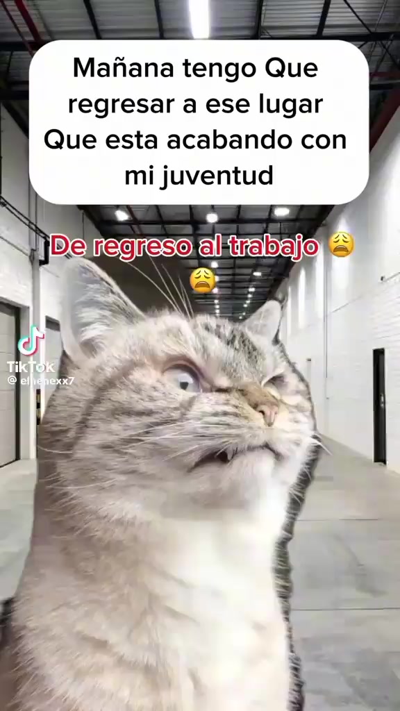 @arely🥰❤️