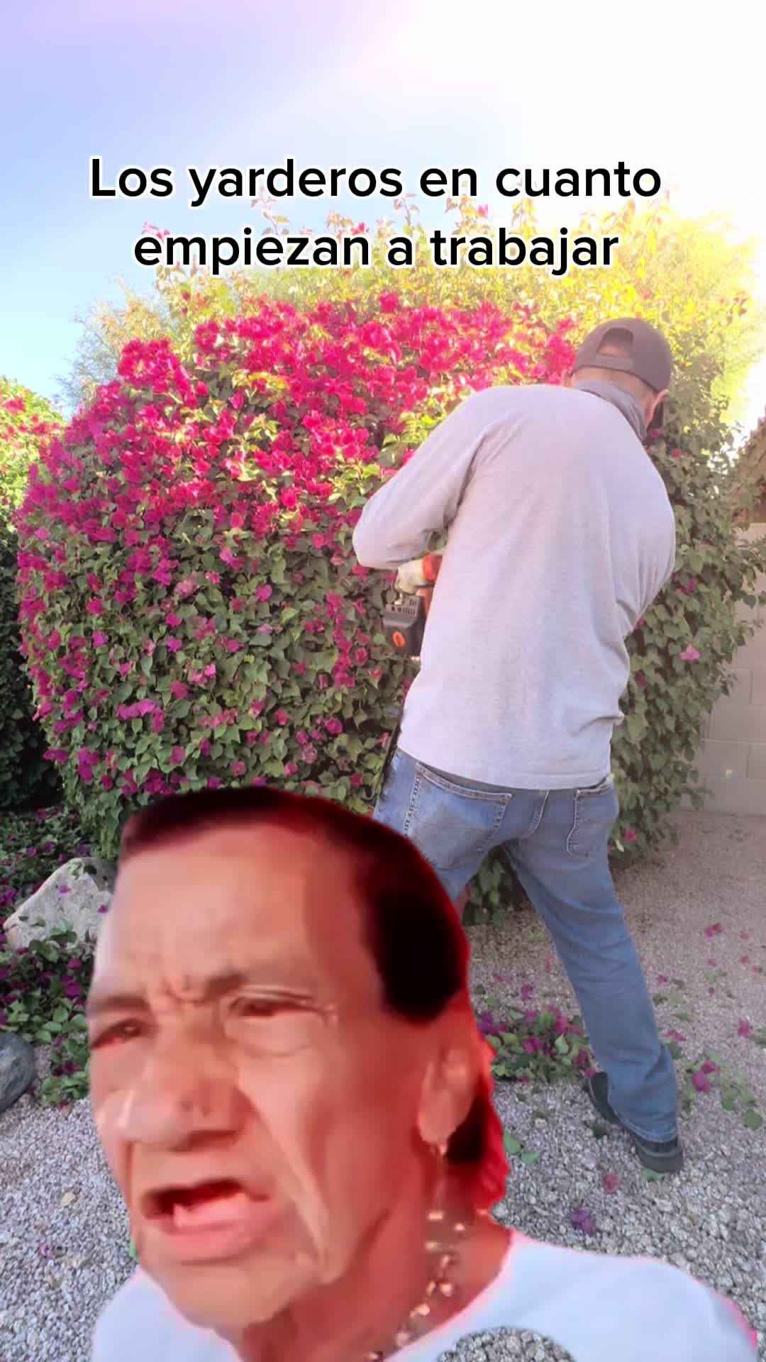 @landscaping