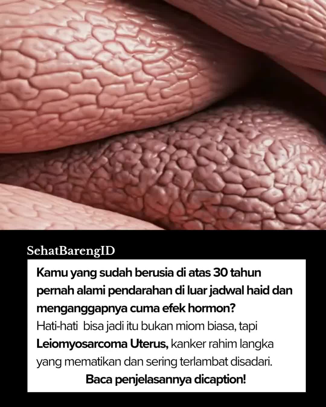 @SehatBarengID