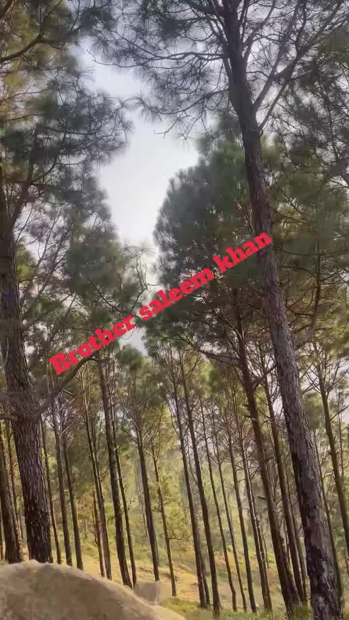 @☘️ABRAHEEM JAN💔