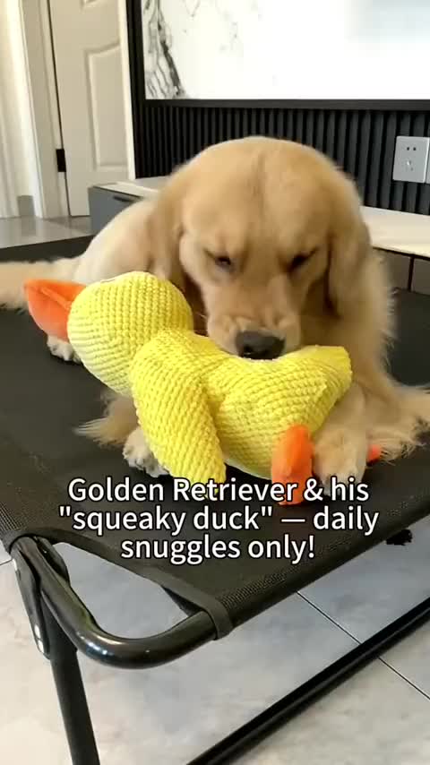 @Golden fam