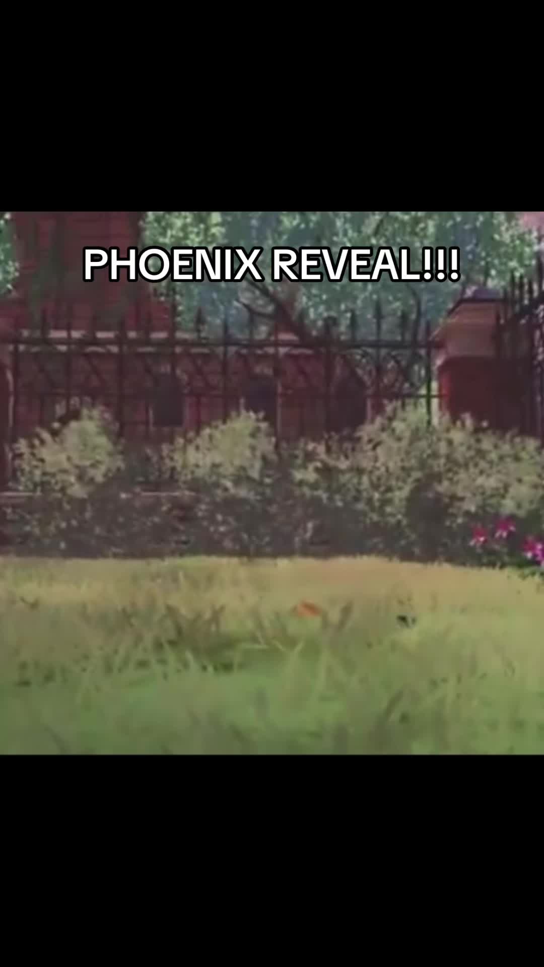 @Zhoenix