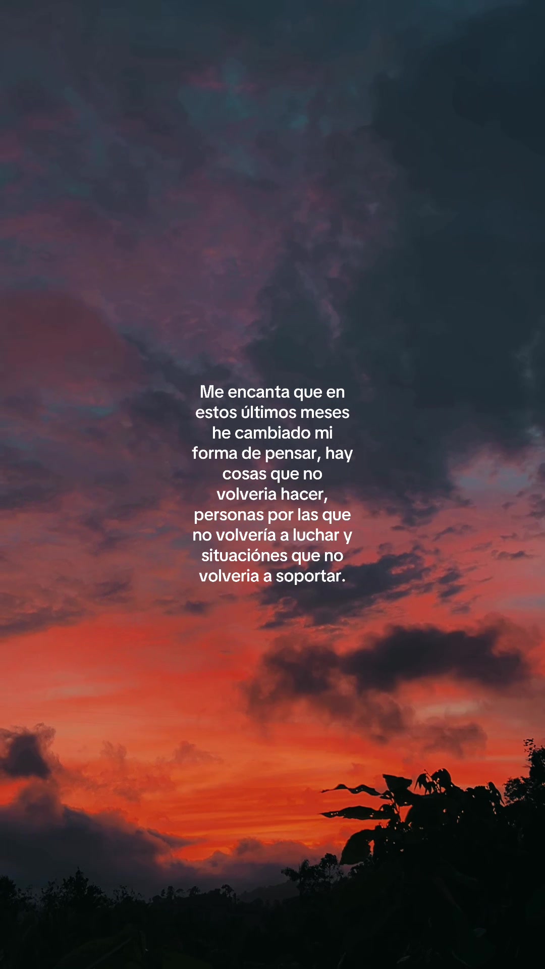 @Evelyn