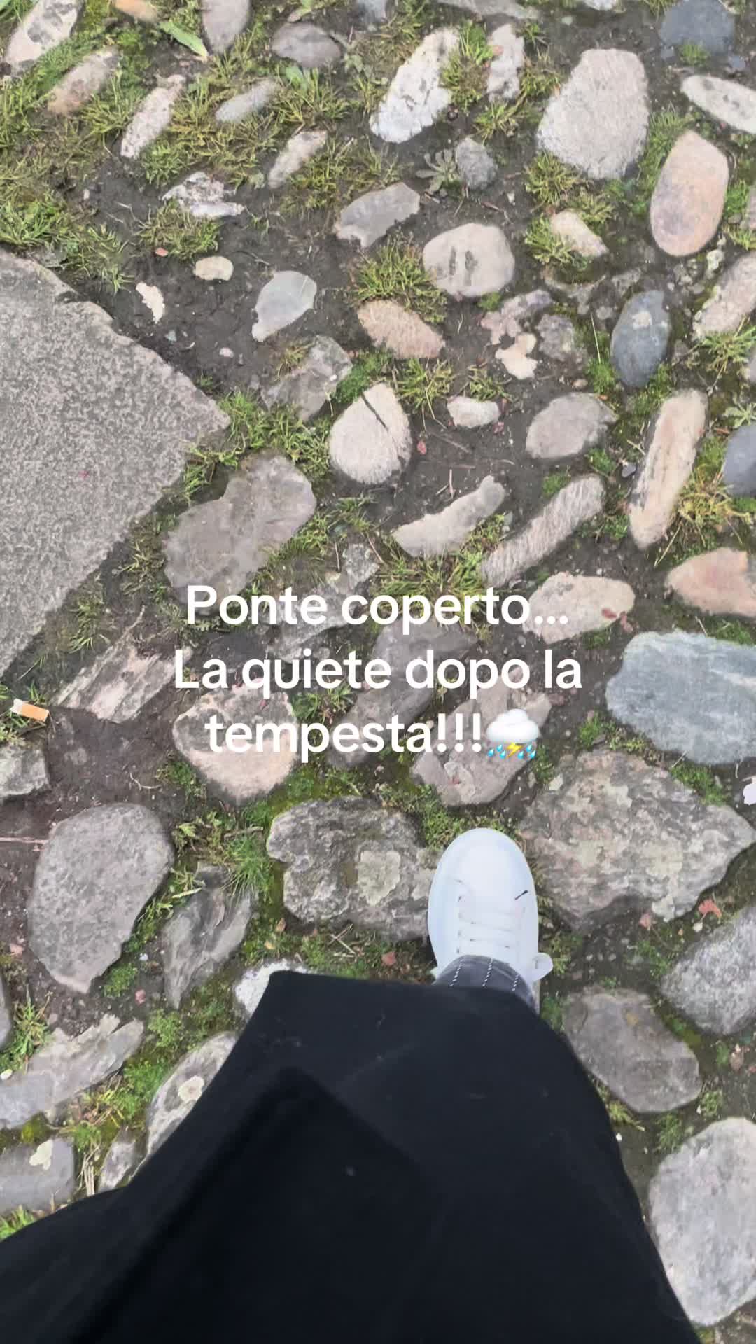 @messale3