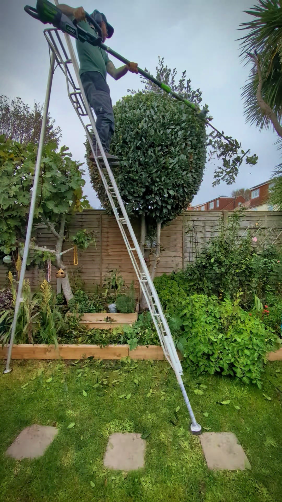 @Gary Hall Garden Services