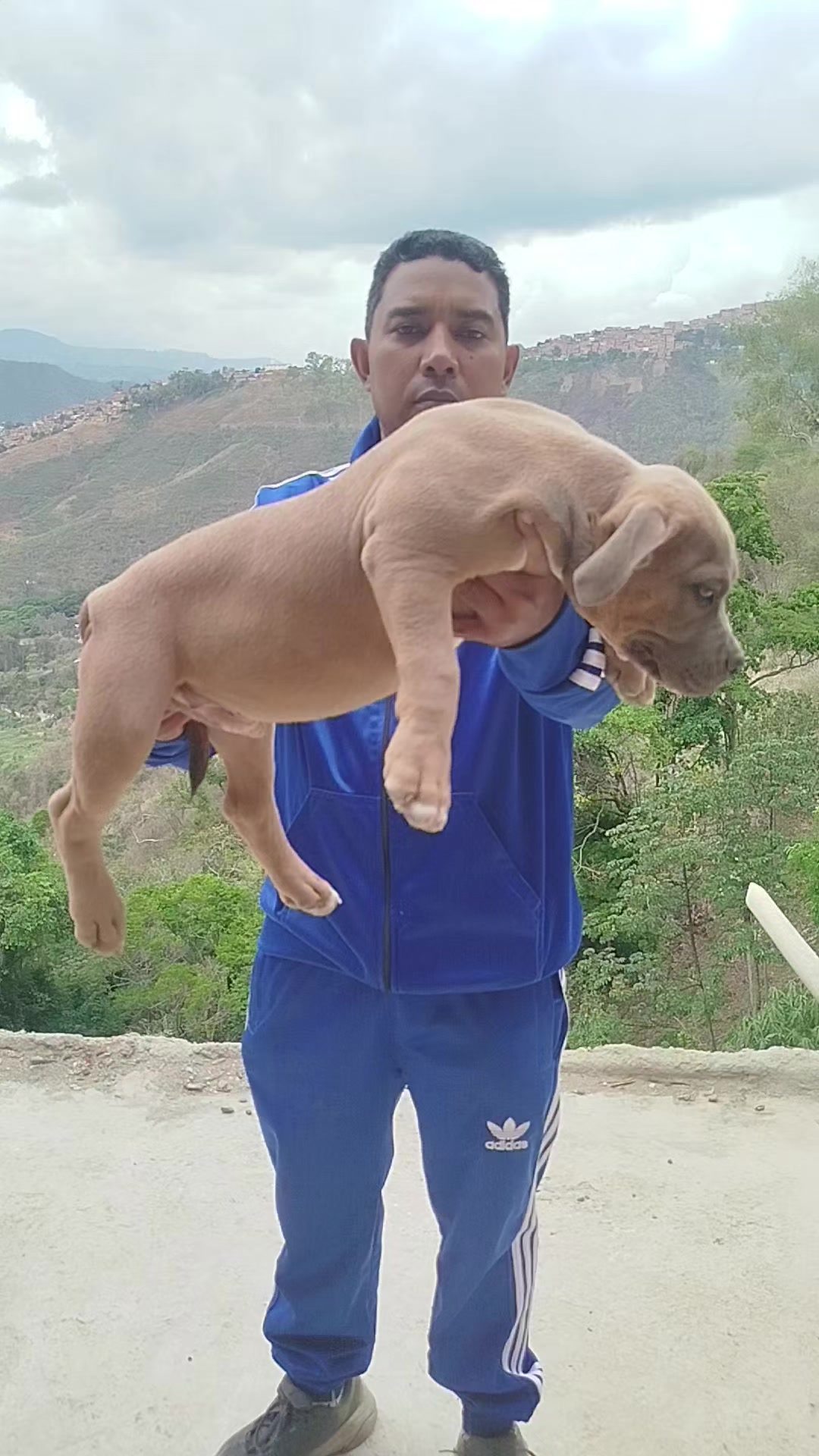 @mia_bulls❤️