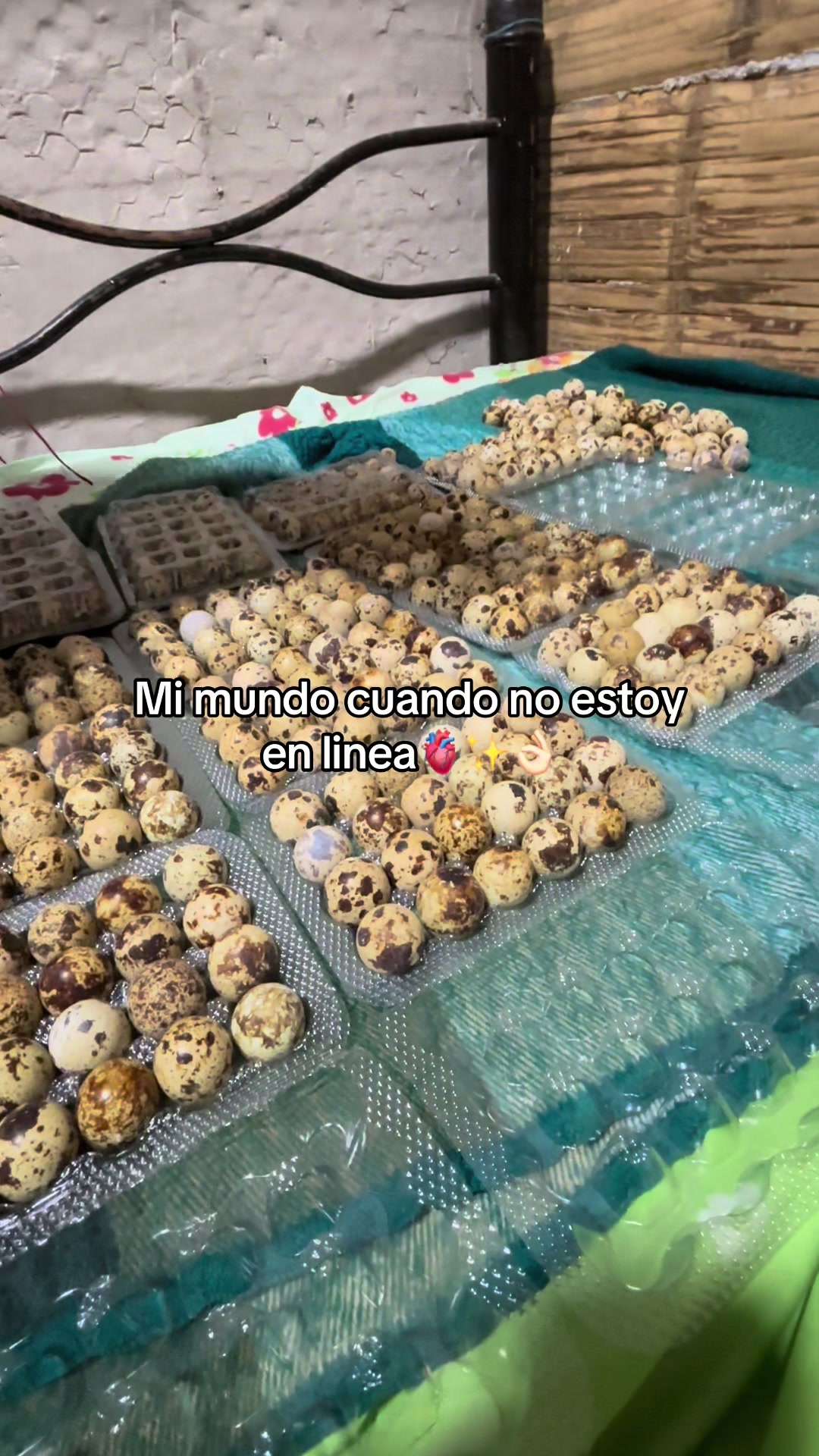 @Yuli Moreno