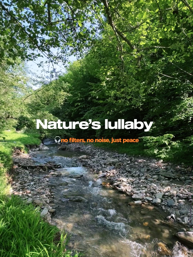 @4KNature