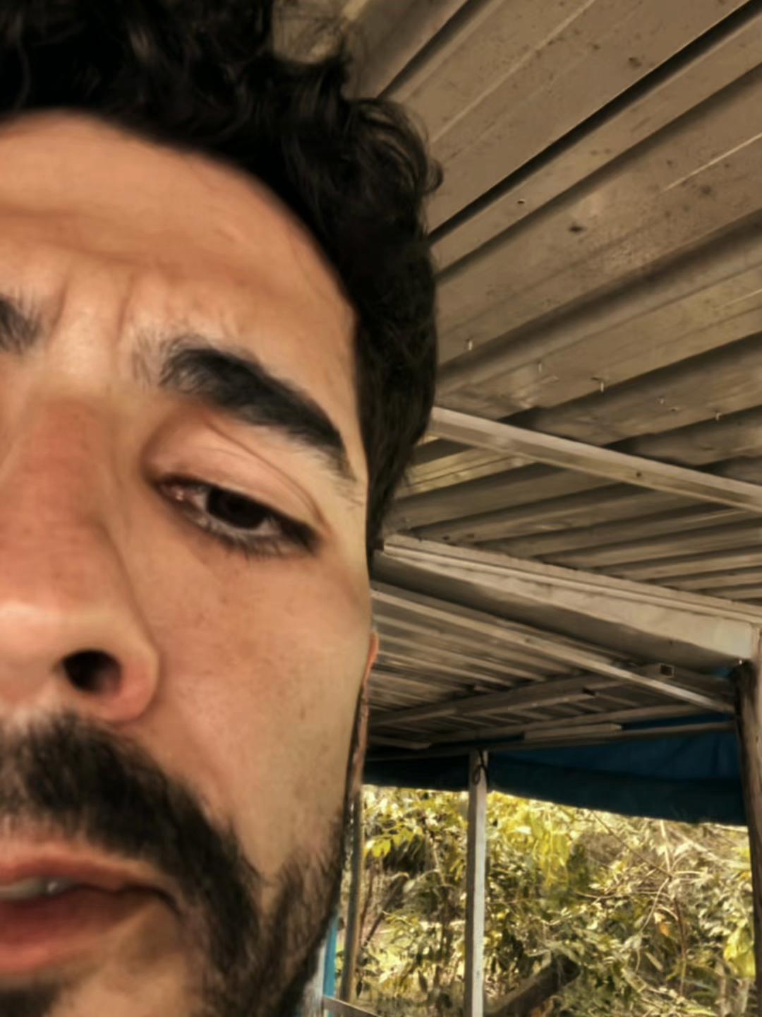 @Vitorino