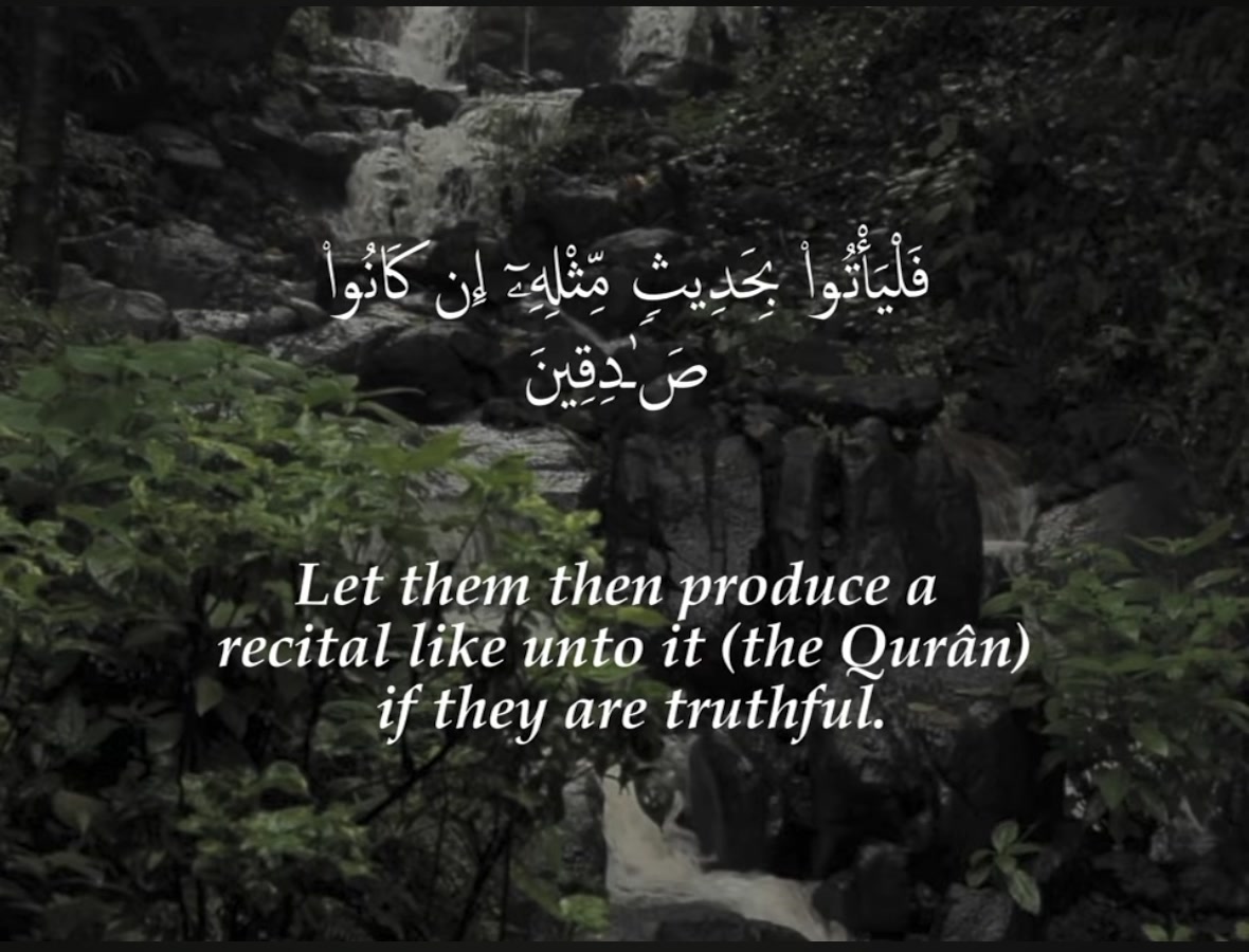 @Sensei Islam