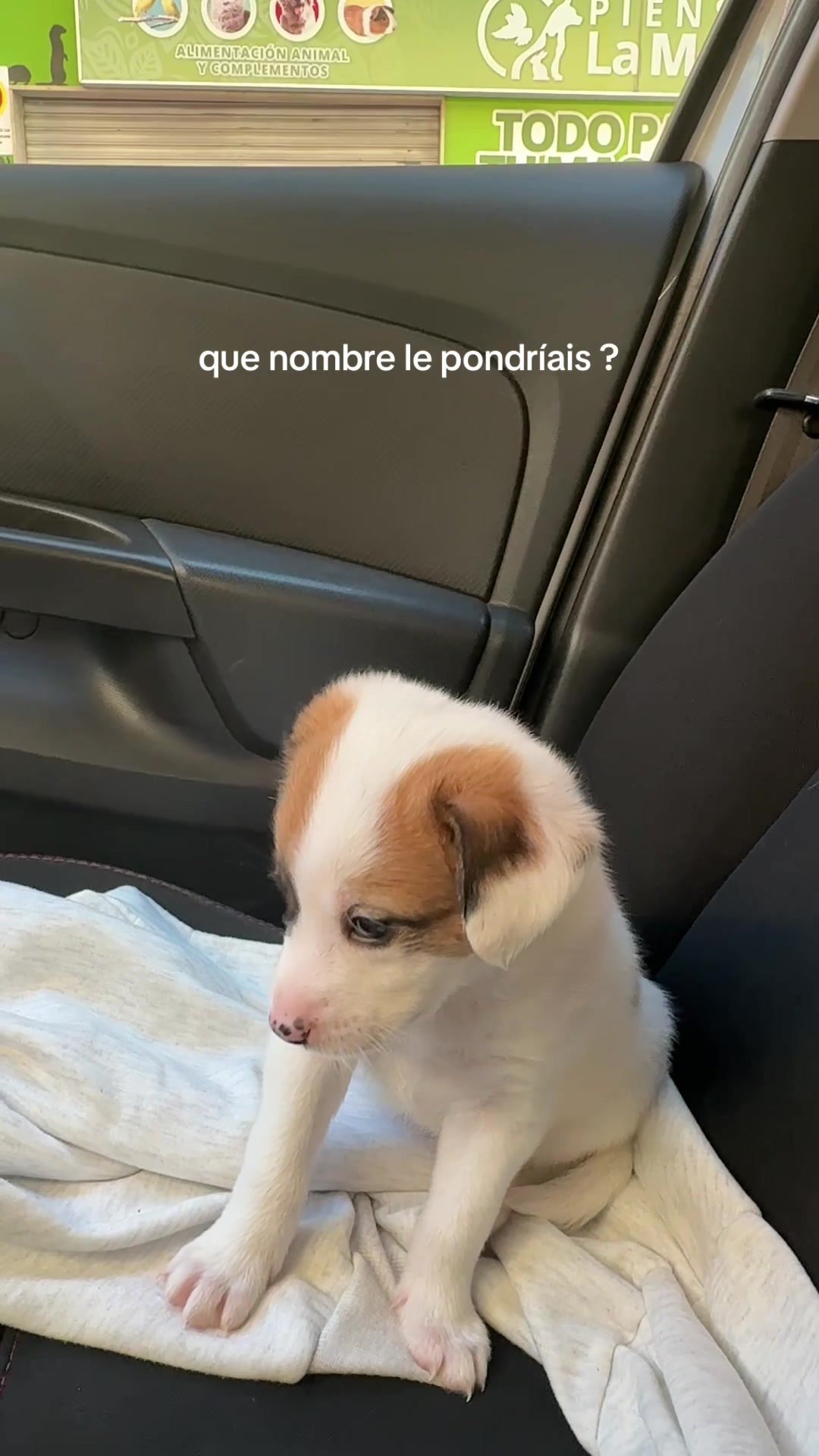 @leti