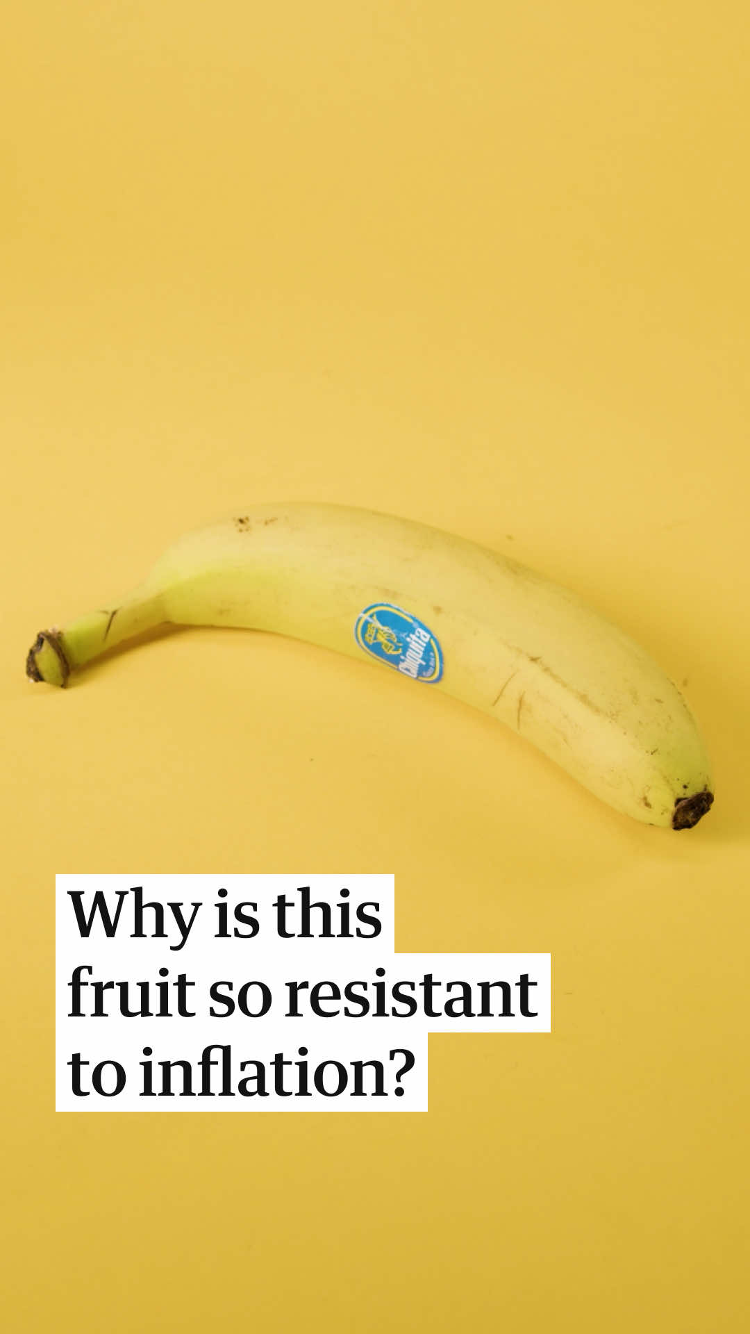 @The Guardian