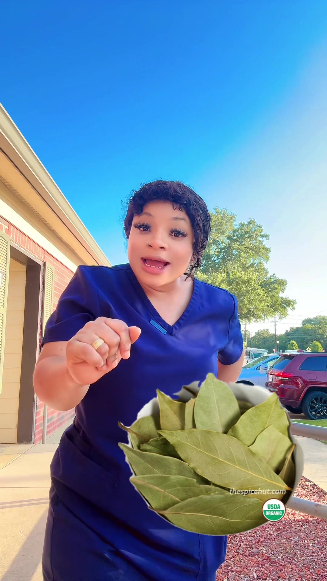 @melissa1