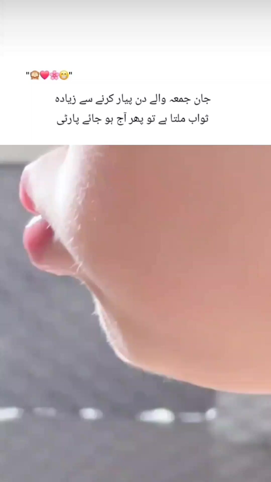 @๐ ๐๐ ๐ฆ๐ฃ ๐ก๐๐ฃ๐ฅ๐๐๐ฃ ๐