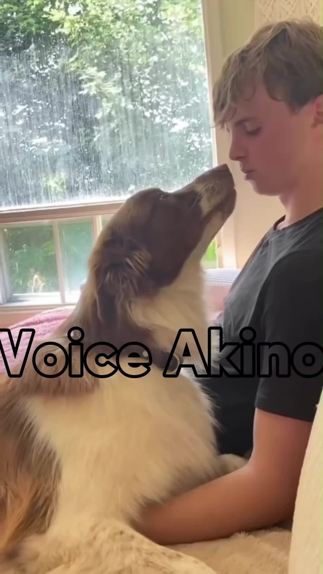 @Akino Shenji