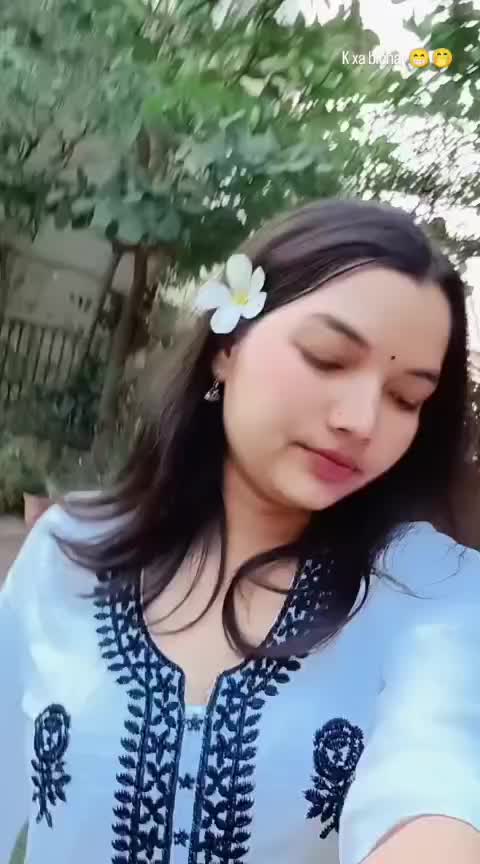 @🍁Zoo Teey 🍁☘️