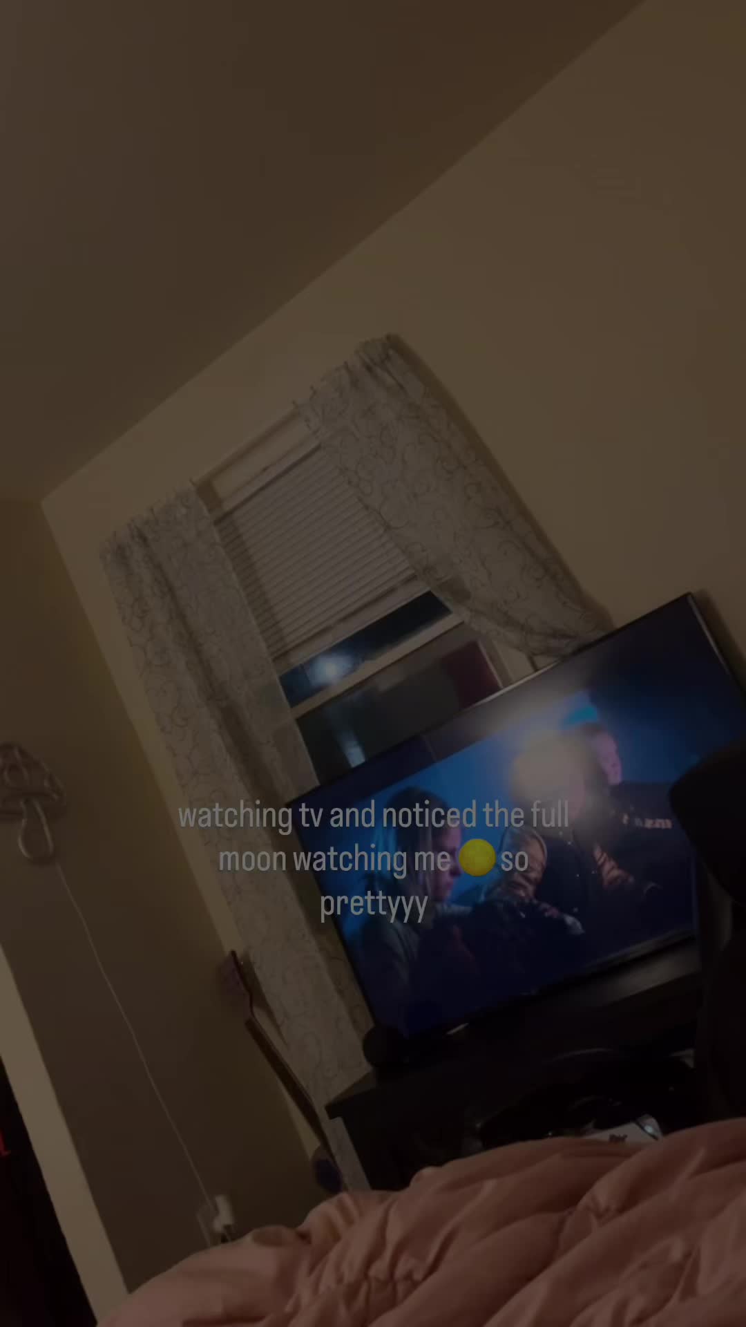 @shadowbannedshawti
