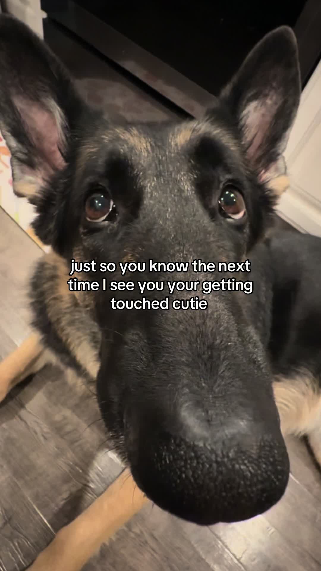 @Bhris