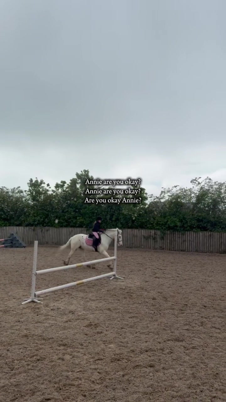 @LottiesHorseAdventures🦄🐴