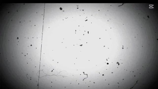 @call__me__𝙯ᵃ𝘪b