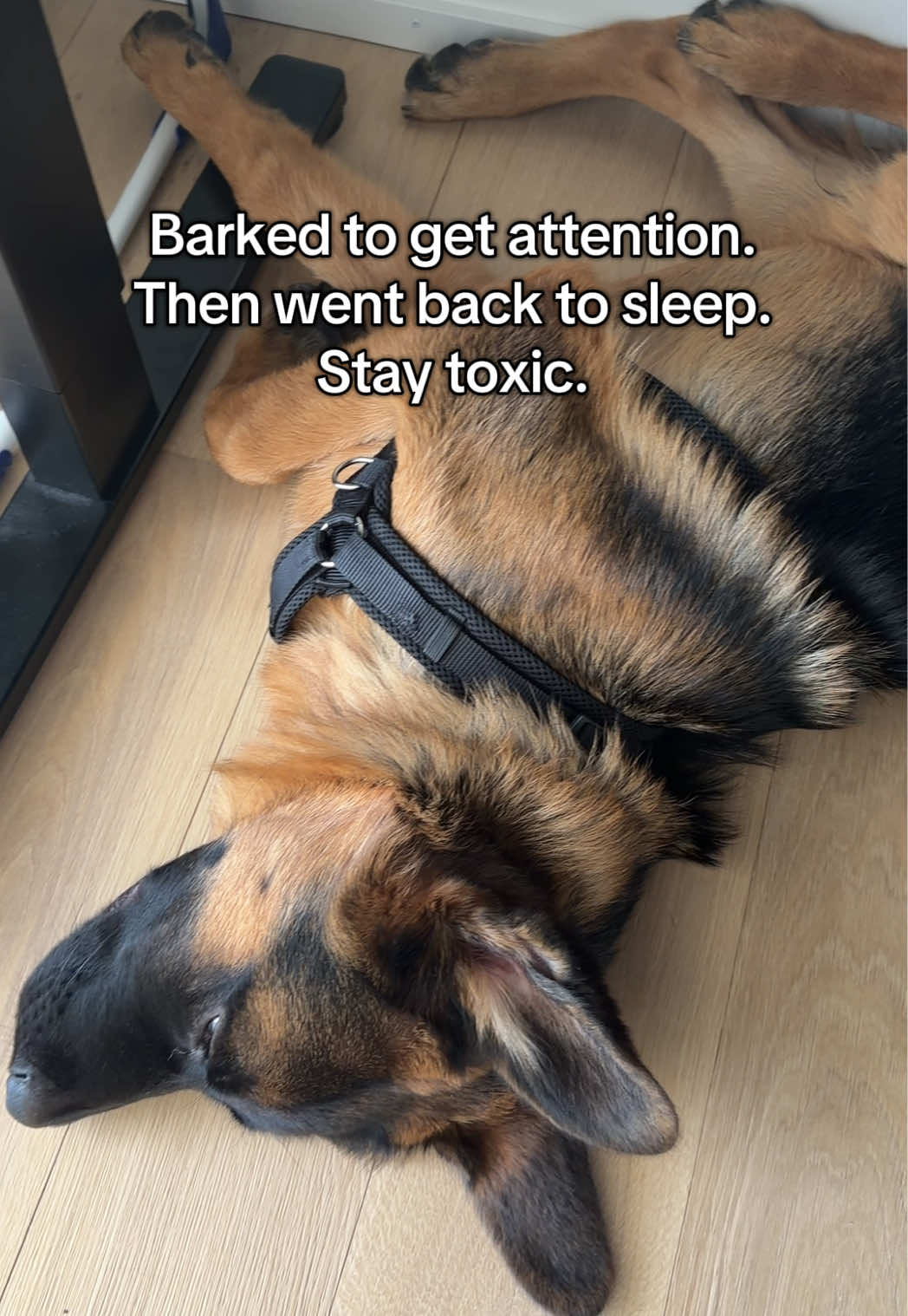 @gsd.kuba