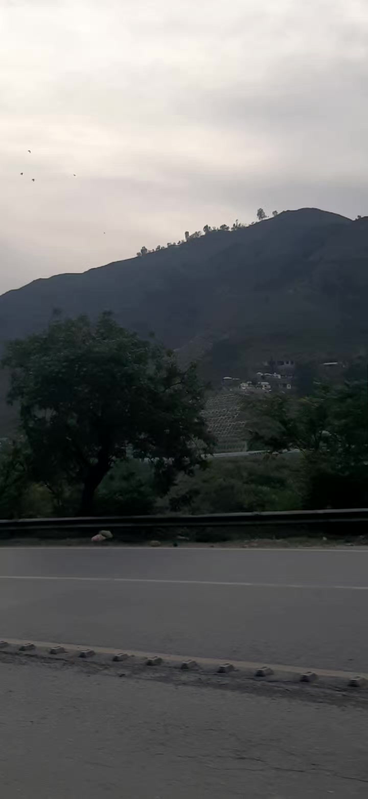 @Shumaila Akhtar