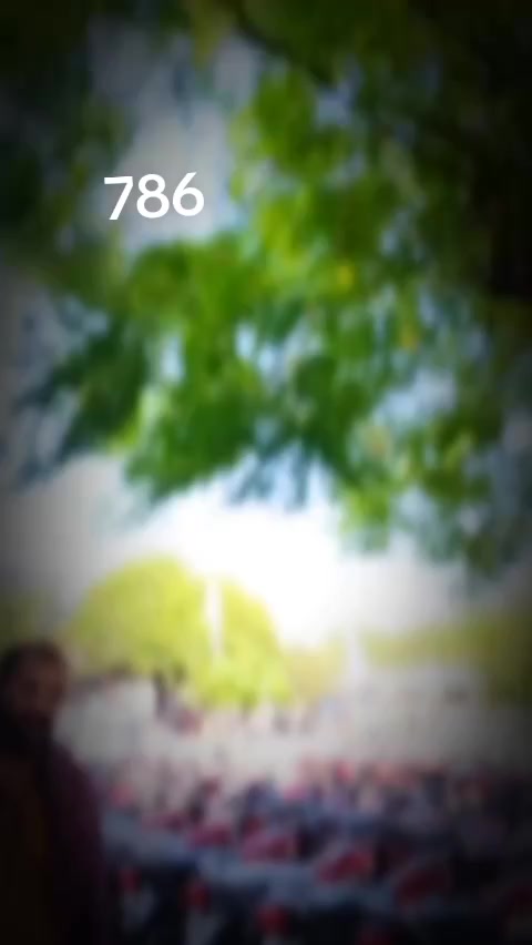 @sarkar 786🤟♥️🤟