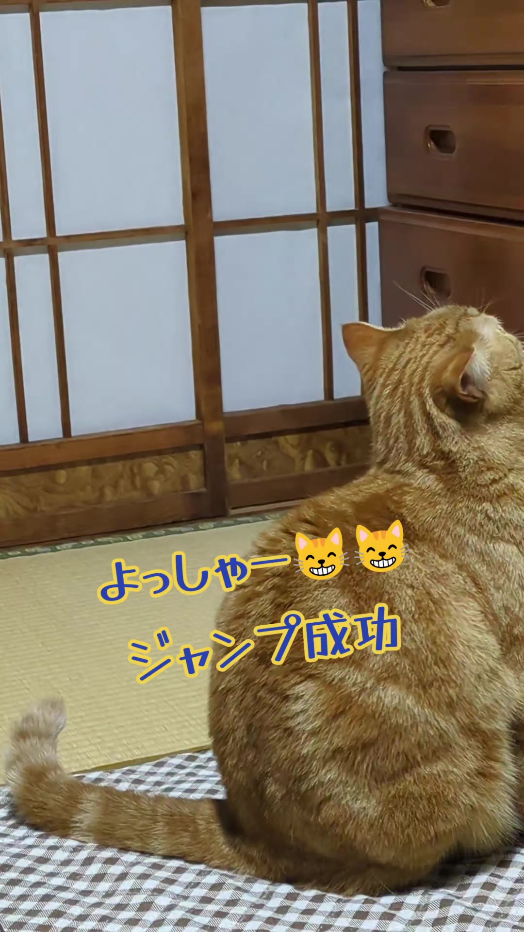 @JUNjun