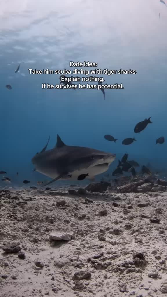 @Ella | Dive Instructor
